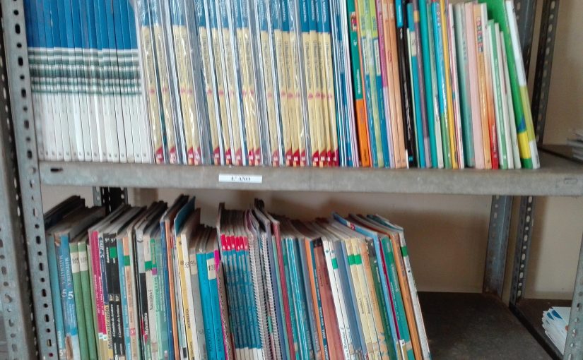 Umas semanas cheias de trabalho na Guiné Bissau