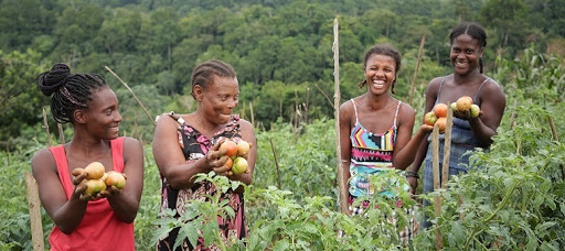 Dia de São Tomé e Príncipe (12 de julho)