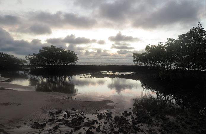 Dia Mundial de Conservação da Natureza (28 de julho)