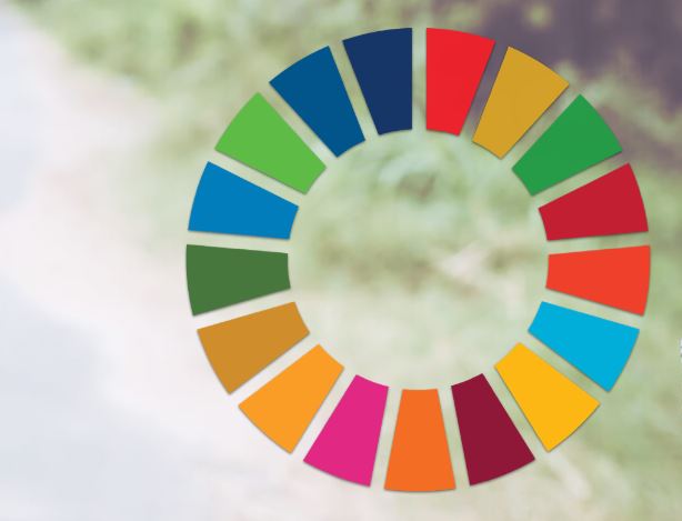 6º Aniversário da Agenda 2030 (25 de setembro)